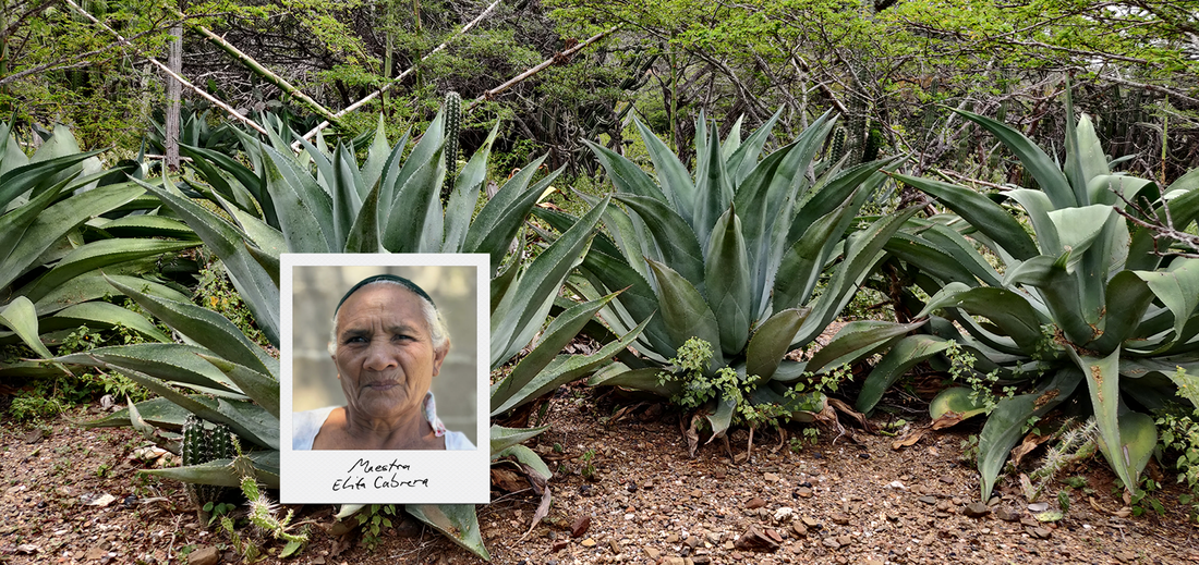 The Strength of the Mountains: An Interview with Maestra Elita Cabrera