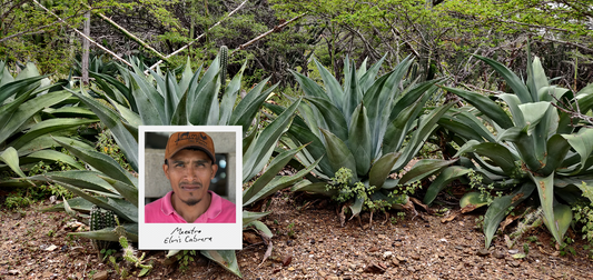 The Wisdom of Experience: An Interview with Maestro Elvis Cabrera