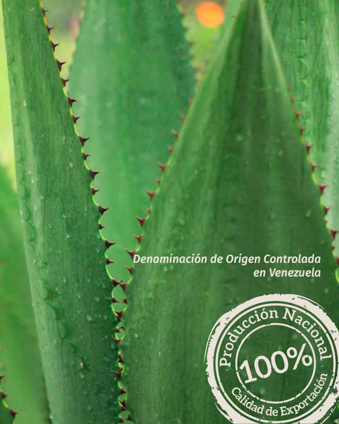 Denominacion de Origen Controlada de Venezuela